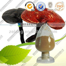 Extrait naturel de Ganoderma Lucidum Ganoderan